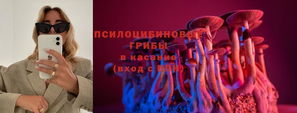молекула духа Гусев
