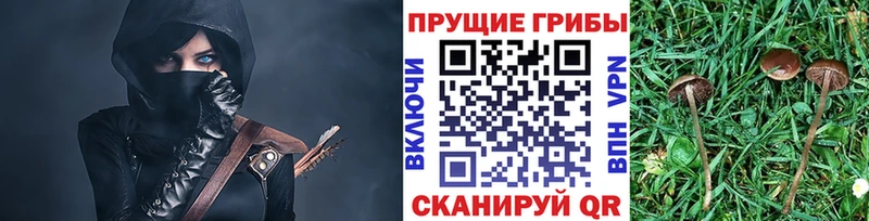 kraken   Заводоуковск  Псилоцибиновые грибы прущие грибы 